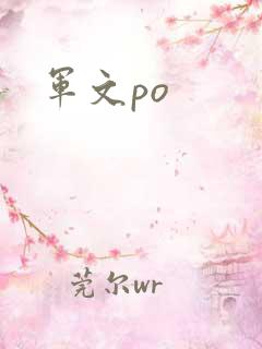 军文po