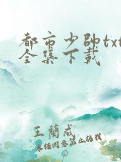 都市少帅txt全集下载