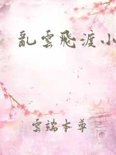 乱云飞渡小说