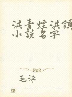 洪青烟洪镇国的小说名字