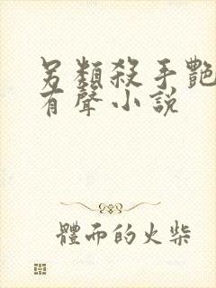 另类杀手艳福星有声小说