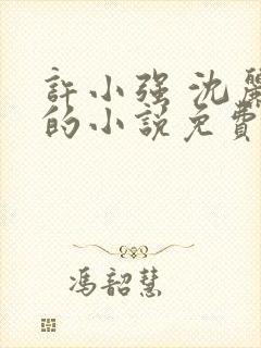 许小强 沈丽娟的小说免费阅读