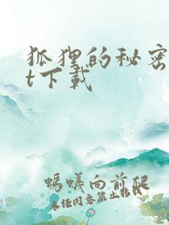 狐狸的秘密txt下载