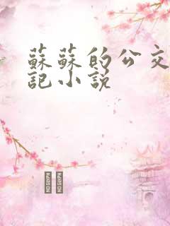 苏苏的公交车日记小说