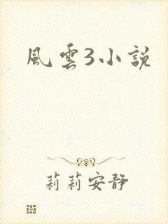 风云3小说