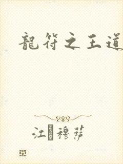 龙符之王道天下