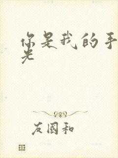 你是我的手冢国光