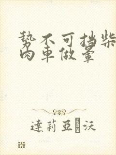 势不可挡柴鸡蛋肉车做晕