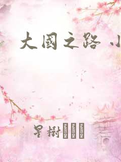 大国之路 小说