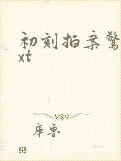 初刻拍案惊奇txt