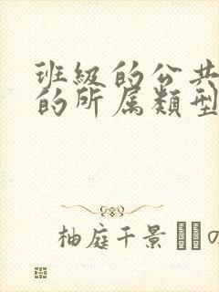 班级的公共小0的所属类型