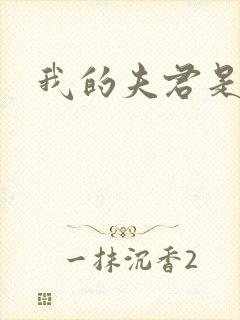 我的夫君是冥王