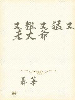 又粗又猛又大爽老大爷