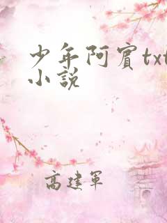 少年阿宾txt小说