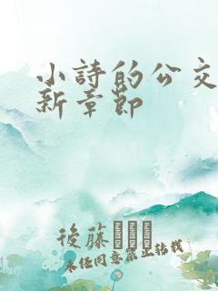 小诗的公交车最新章节