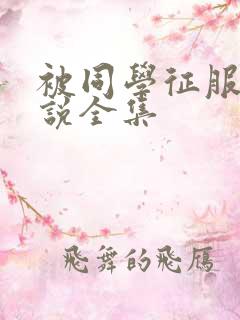 被同学征服的小说全集