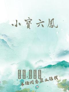 小宝六凤