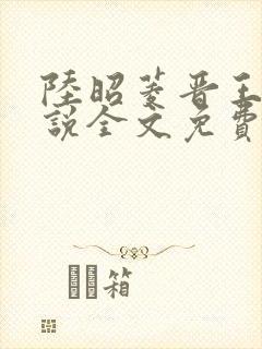 陆昭菱晋王的小说全文免费阅读