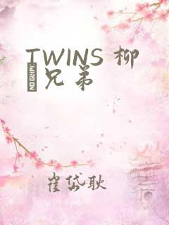 TWINS 柳澤兄弟