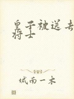 皇子被送去犒劳将士