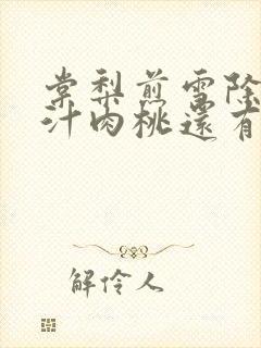 棠梨煎雪除了蜜汁肉桃还有什么肉