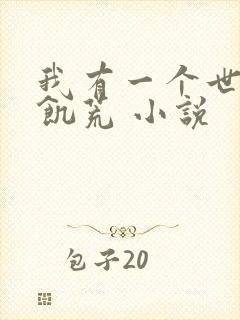 我有一个世界叫饥荒 小说