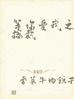 等你爱我之冰山总裁