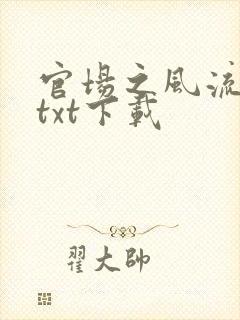 官场之风流人生txt下载