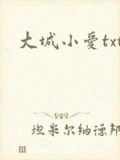 大城小爱txt