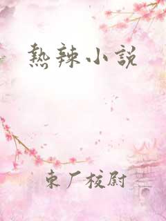 热辣小说