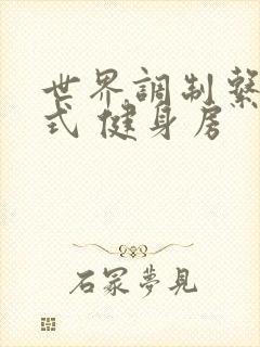 世界调制系统模式 健身房