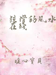 狡猾的风水相师在线