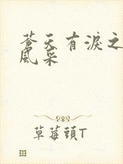 苍天有泪之军人风采