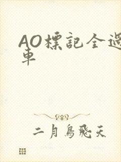 AO标记全过程车