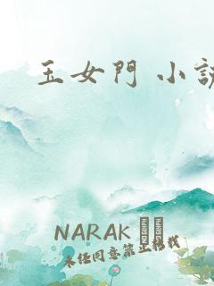 玉女门 小说