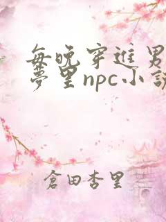 每晚穿进男神的梦里npc小说