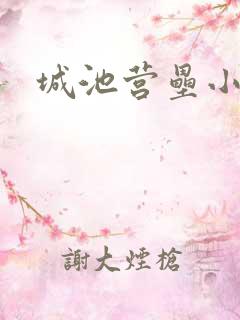 城池营垒小说