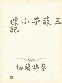 坏小子苏三风流记