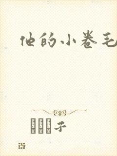 他的小卷毛