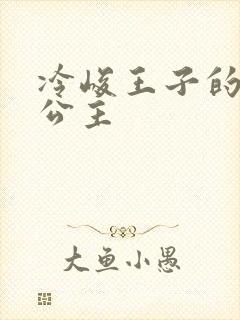 冷峻王子的完美公主