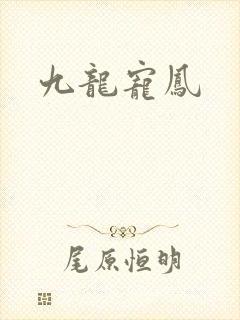九龙宠凤