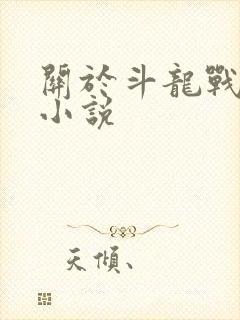 关于斗龙战士的小说