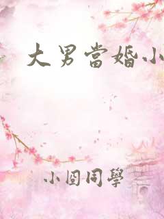大男当婚小说