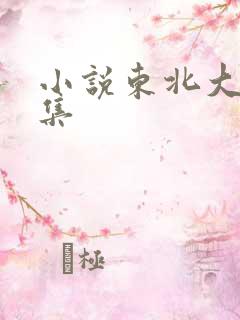 小说东北大炕全集