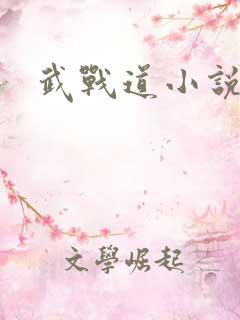 武战道小说