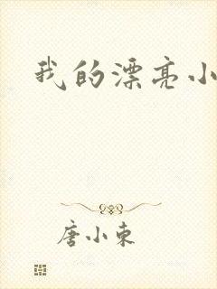 我的漂亮小后妈