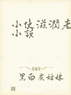 小伙滋润老女人小说