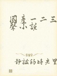 国产一二三区有声小说