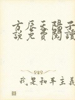 方辰天阳子的小说免费阅读