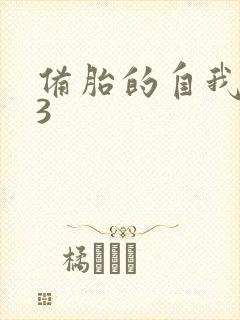 备胎的自我修养3